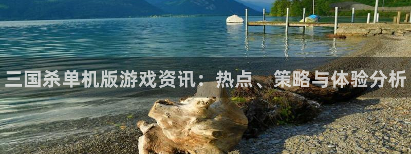高德娱乐平台官网登录：三国杀单机版游戏资讯：热点、策略与体验