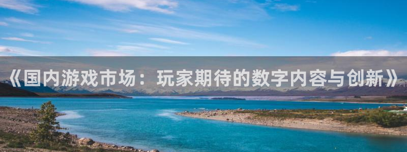 高德娱乐测速：《国内游戏市场：玩家期待的数字内容与创新》