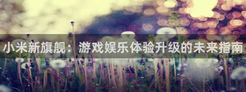 高德娱乐Ii：小米新旗舰：游戏娱乐体验升级的未来指南