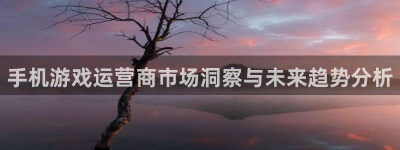 高德娱乐登录网址：手机游戏运营商市场洞察与未来趋势分析