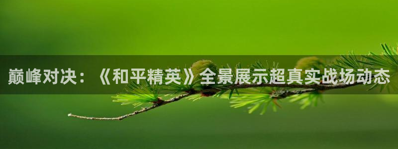 高德娱乐升级5994月：巅峰对决：《和平精英》全景展示超真实