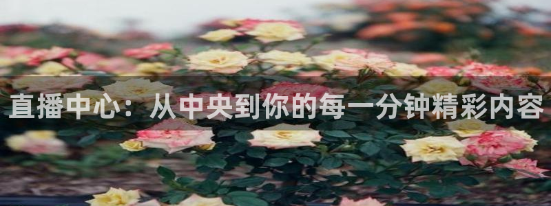 nba直播在线观看88看球官网：直播中心：从中央到你的每一分钟精彩内容
